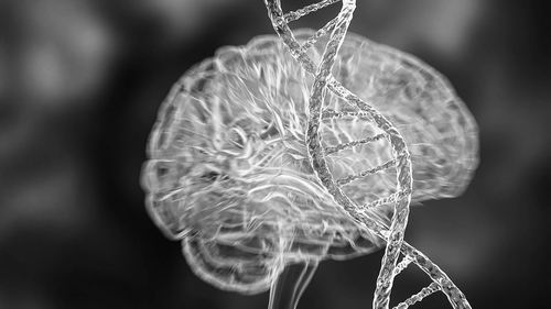 科学家发现首个可直接引发精神疾病的基因