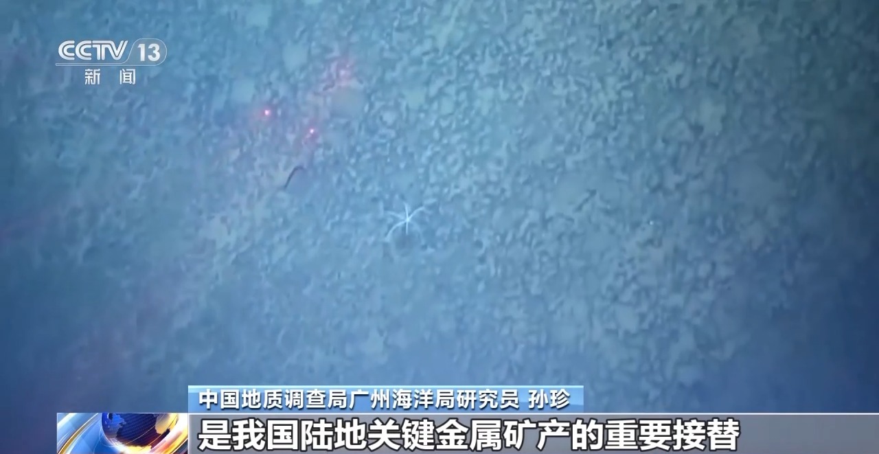 “海洋地质六号”发现了哪些深海宝藏?画面公布